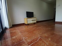 River Place (D3), Condominium #415218751